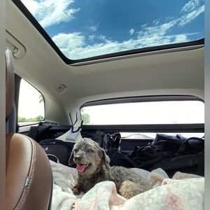 🧁 Kuppcakez Closet 🧁